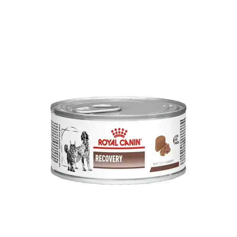 Royal Canin Alimento Húmedo para Perro y Gato Recovery