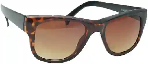 Brightlook Lente Ptr Solar Woman Brown