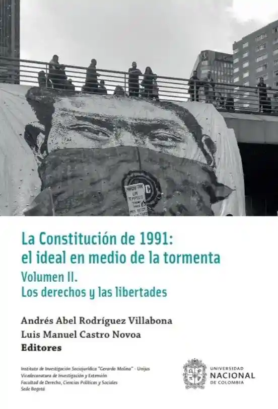 La Constitución de 1991 El Ideal en Medio de La Tormenta Volumen Ii Los Derechos y Las Libertades
