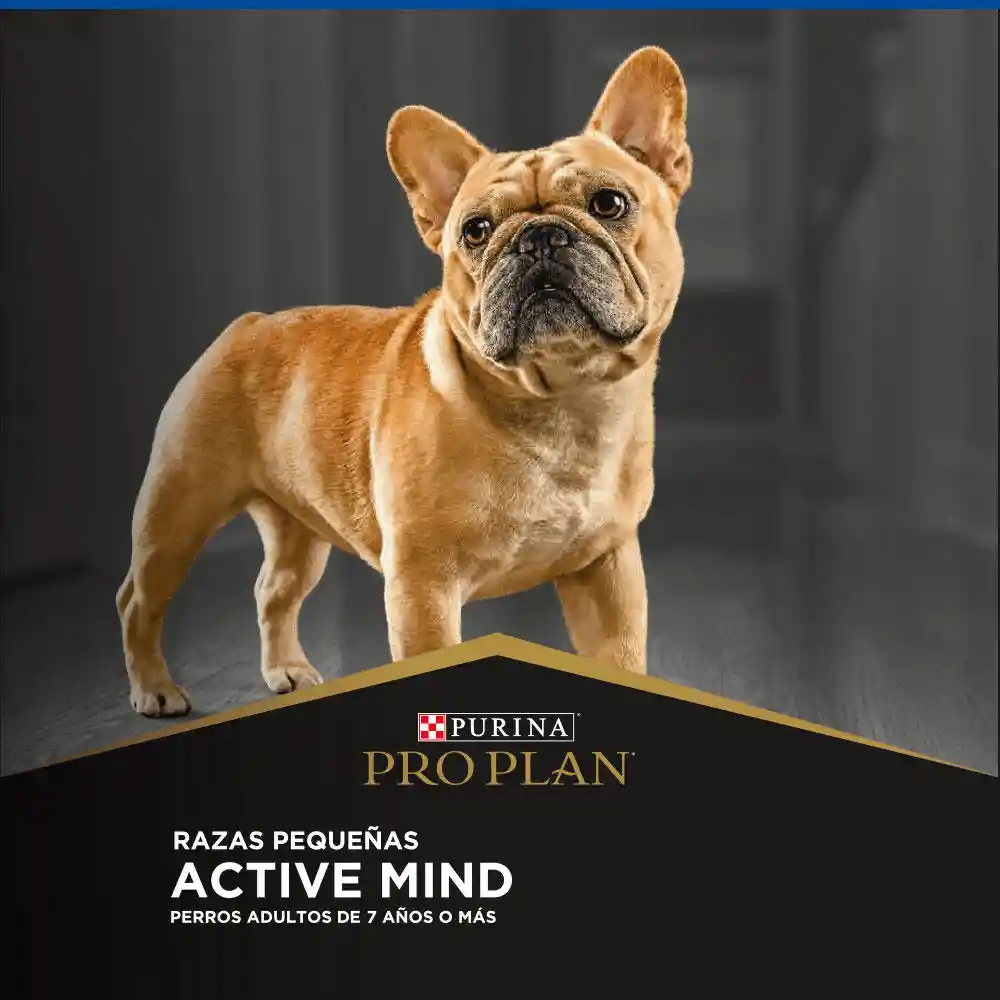 Pro Plan Alimento Para Perro Active Mind Raza Pequeña