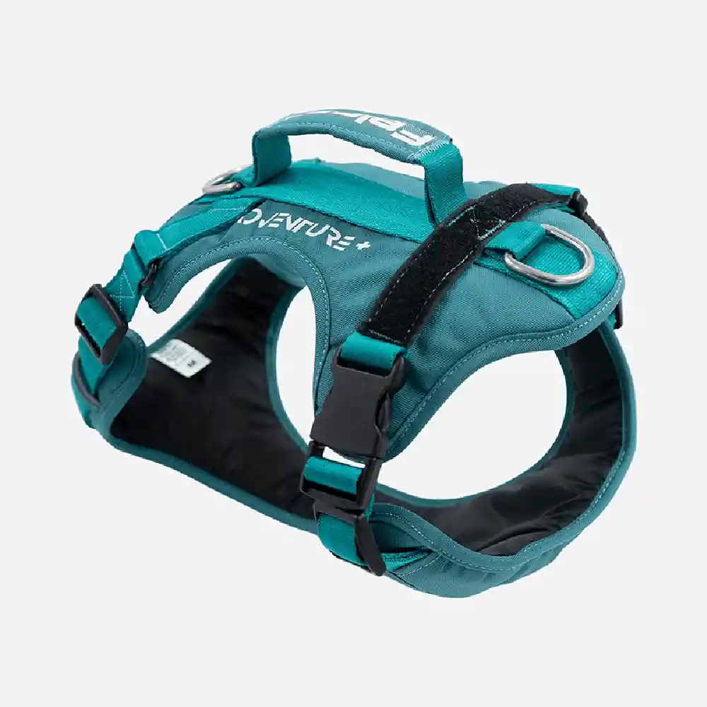 Arnés Para Perro Mountain Verde J Felcan