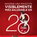 Comida para perro Purina One adultos minis y pequeños Pollo y Carne X 500gr