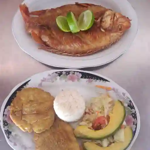 Mojarra