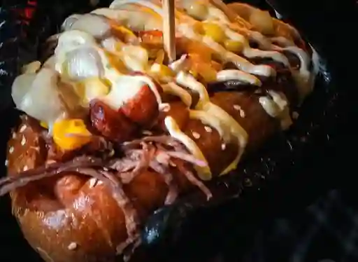 Perro de la Casa