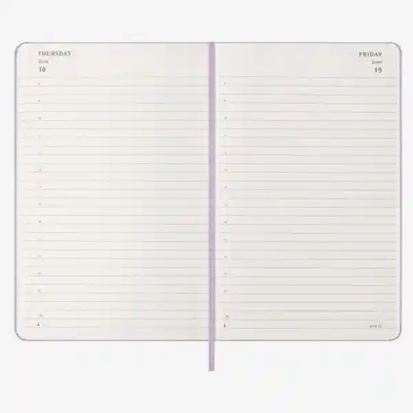 Moleskine Agenda Diaria Lila Grande Hc 2026