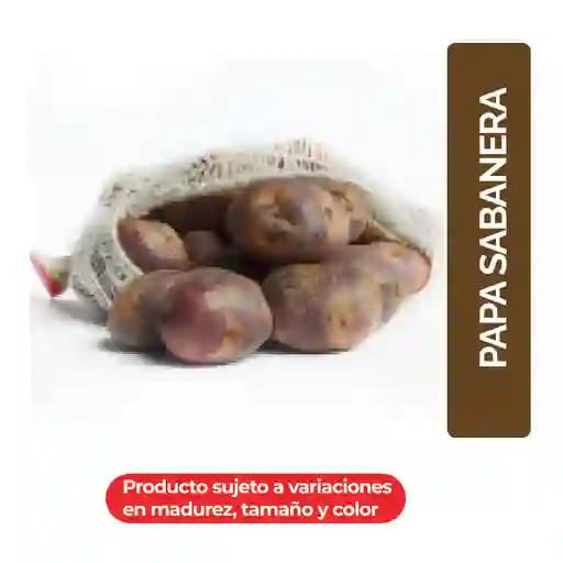 Papa Sabanera