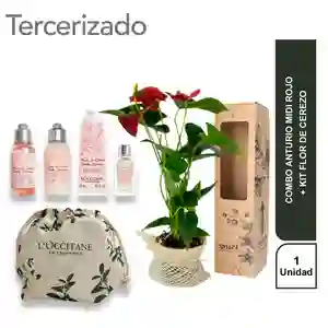 Combo Anturio Midi Rojo + Kit Flor de Cerezo Loccitane