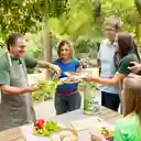 Familia Green Pack de Toallas de Cocina
