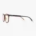 Barner Gafas Reading Dalston Carey + 2.00