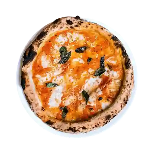 Pizza Margherita
