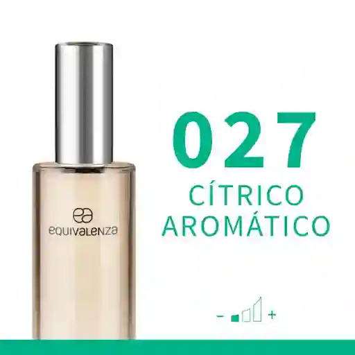 Equivalenza Perfume Cítrico Amaderado 027