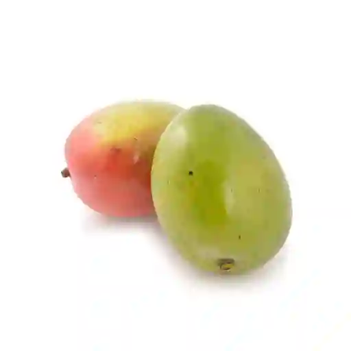 Mango Tommy