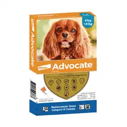 Advocate Antipulgas Para Perro >4 - 10 Kg 1 Pipeta