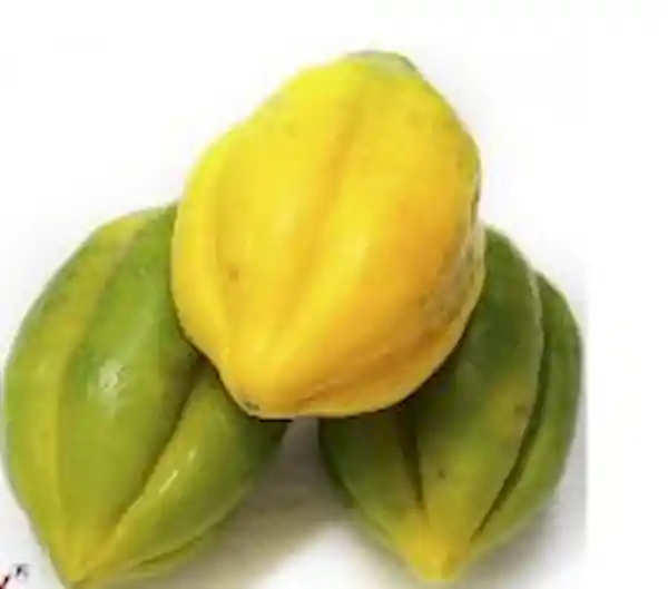 Papayuela