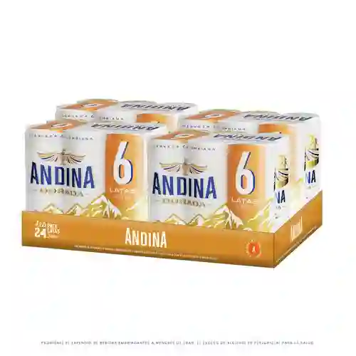 Andina Pack Cerveza Rubia 