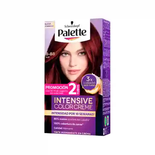 Palette Tinte Intensive Color Creme Rubí 6-88 100 mL