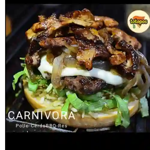 Carnivora