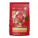 Comida para perro Purina One adultos medianos y grandes pollo y carne X 2kg