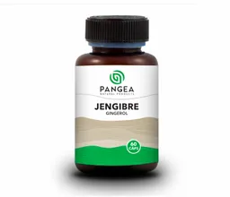 Pangea Suplemento Natural de Jengibre