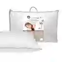 Almohada 230h Alg Down Proof Sesgo Distrihogar Pt00322