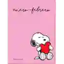 Planeador Snoopy y Woodstock