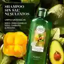 Shampoo de Cabello Herbal Essences Aguacate (400 Ml)