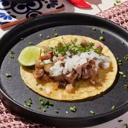 Taco Carnitas.