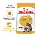 Royal Canin Feline Breed Nutrition Dry Maine Coon Adult 2Kg