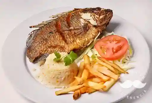 Mojarra