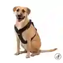 Arnés Pechera Para Perro Rex M Negro