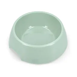Plato Plástico Verde