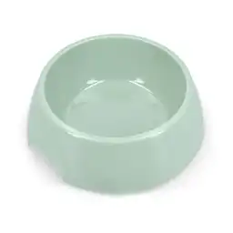 Plato Plástico Verde