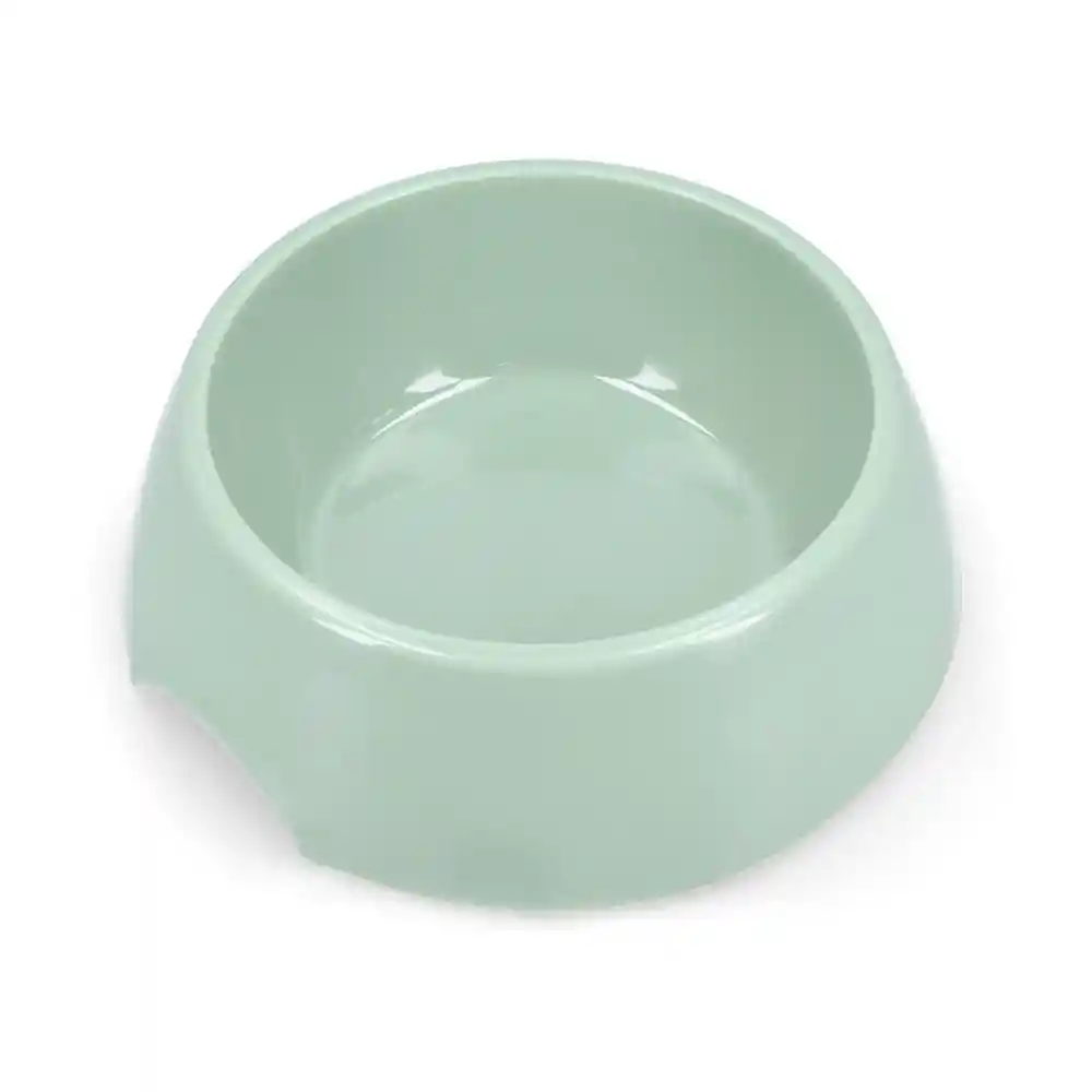 Plato Plástico Verde