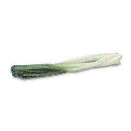 Cebolla Junca
