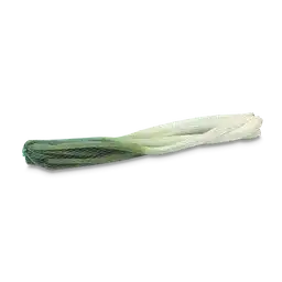 Cebolla Junca