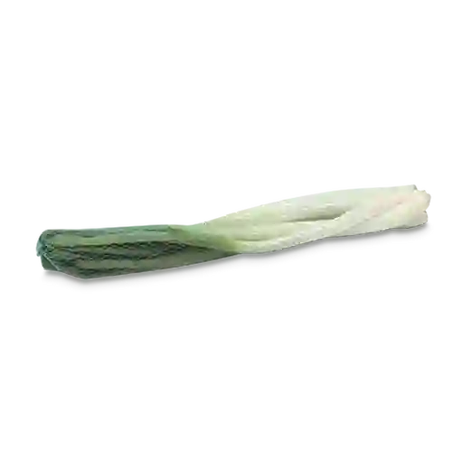 Makro Cebolla Junca