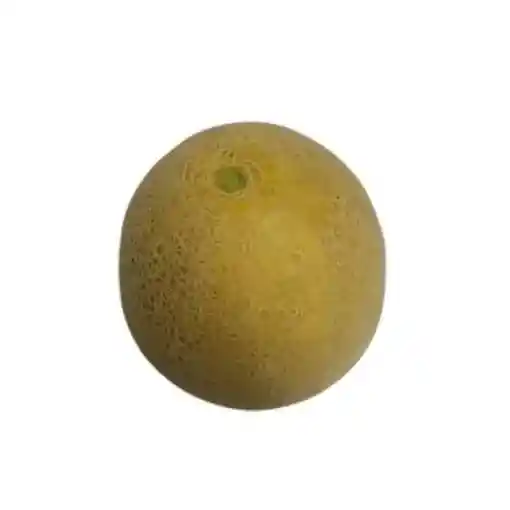 Melón - El Bodegón de Cota