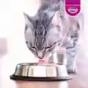 Whiskas Alimento Húmedo para Gato Sabor Carne 1 Año Adulto