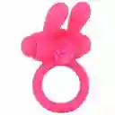 Anillo Neon Rabbit