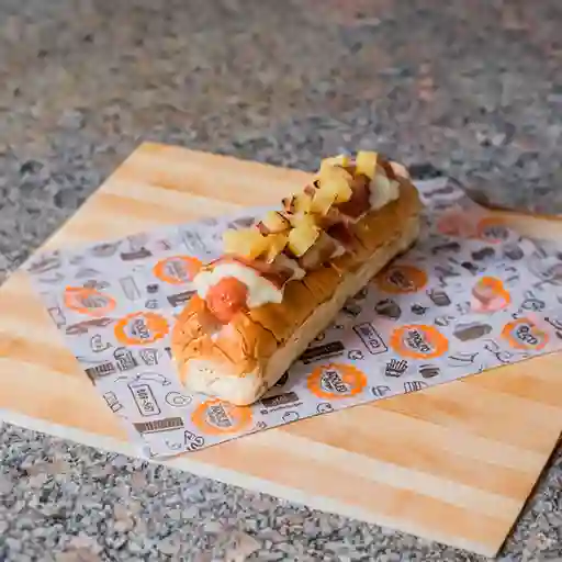 Perro Cebollero Americano