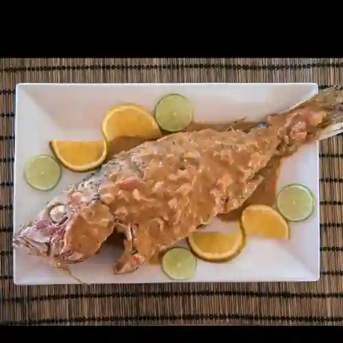 Robalo en Salsa de Coco