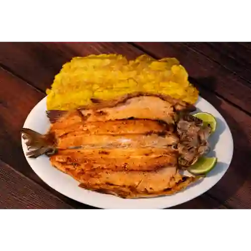 Trucha a la Plancha