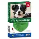 Advantage Solución Antipulgas Perros 10-25 Kg (100 mg)