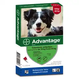 Advantage Solución Antipulgas Perros 10-25 Kg (100 mg)