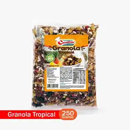 Granola Tropical Carolina 250 Gr