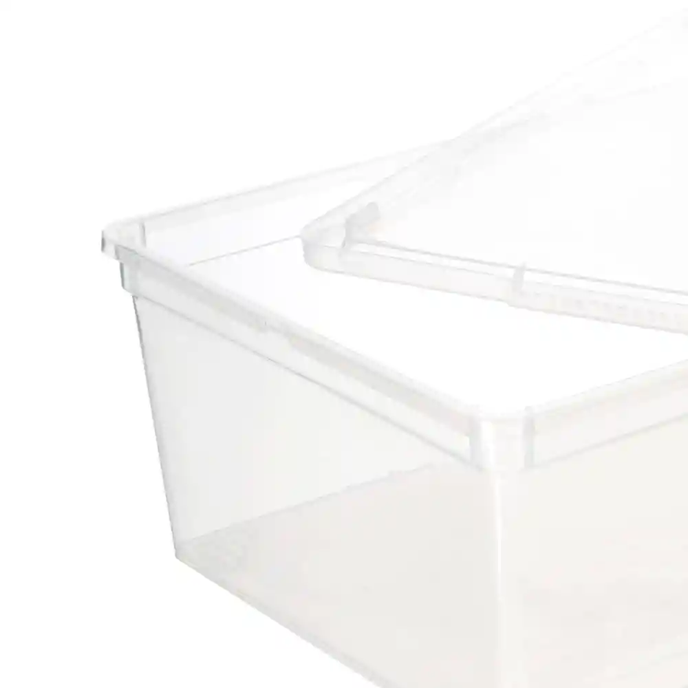 Set Cajas Plástico L Transparente Diseño 0001