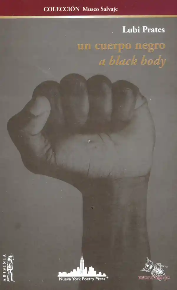 Un Cuerpo Negro