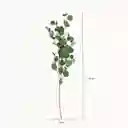 Ambiente Gourmet Figura Hoja Eucalipto 110 cm