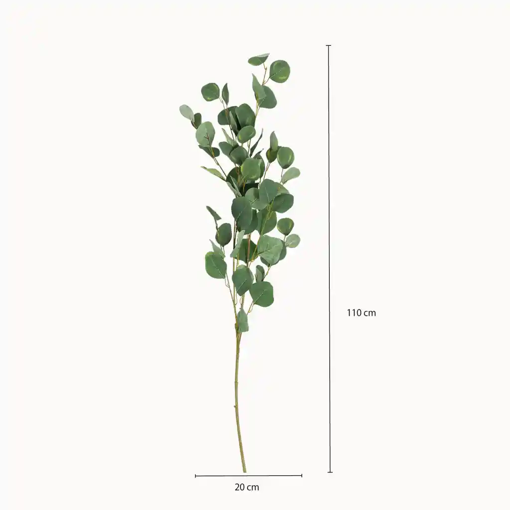 Ambiente Gourmet Figura Hoja Eucalipto 110 cm