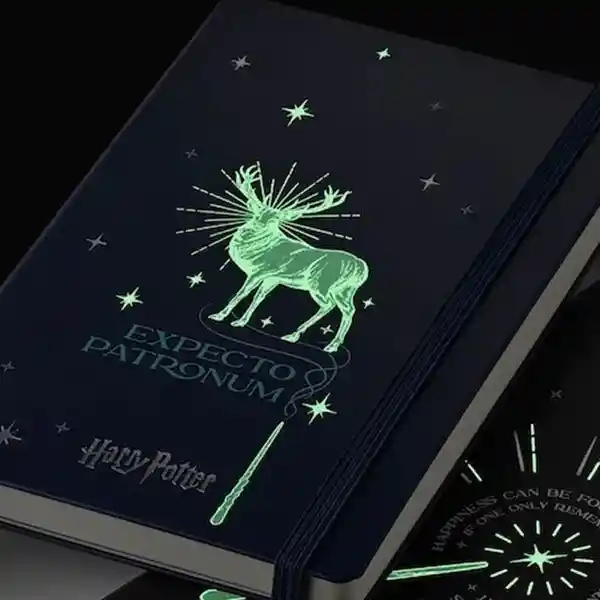 Moleskine Cuaderno Grande Patronum Azul